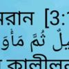 mdmojiruddin2
