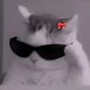 wafaawww08
