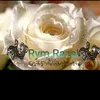rymo_rym1