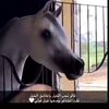rm_l1286