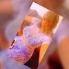 amy.diallo483