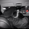 tahir02200