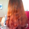 beray05554