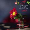 bushraabdalla97