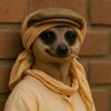 speedysmanager