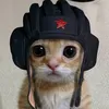 cat16467