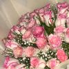 variousseries6578