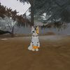 sunnycat2024