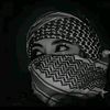 user6299200836836
