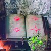 avaray_1989