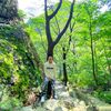 kingubgm99