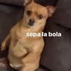 user9469472392677