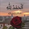 jamila.nadeem21