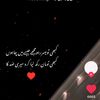 haris.kashmiri.80