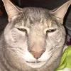 muahenewyork0