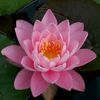 huangkim62