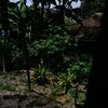 angeng_and_sugeng