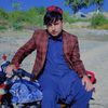 sher.muhammad9133