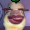 la_nu22