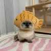 oggyyyyu