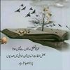 miansharjeel95