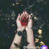 user3845655618194