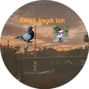 kwakkwakloft.tv