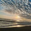 alby_892