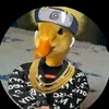 gresia_18