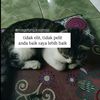 davpiw15