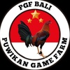 PGF BALII