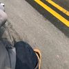 rffki44