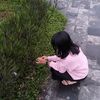 aga_tha33