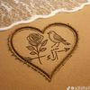 alaa.gamil44