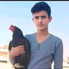 m.ramzan4942