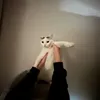 hot.kaloryfer_