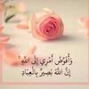 amira.abbas143