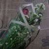 zuniiiii05