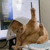 toolshave
