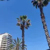 alissa3247