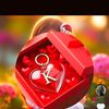 topking494