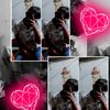 cuteking391