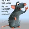trygve.susort8