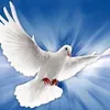 sojesusedeus