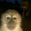 micah.mushangwe.7