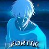 fortik_2