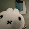 eli_08724