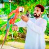 baber.0874