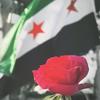 free_syria963963