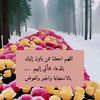 user10260884050764
